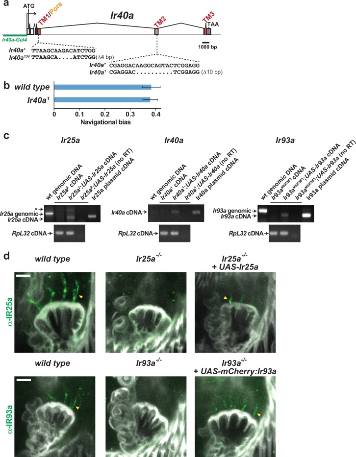 Figure 4—figure supplement 1.