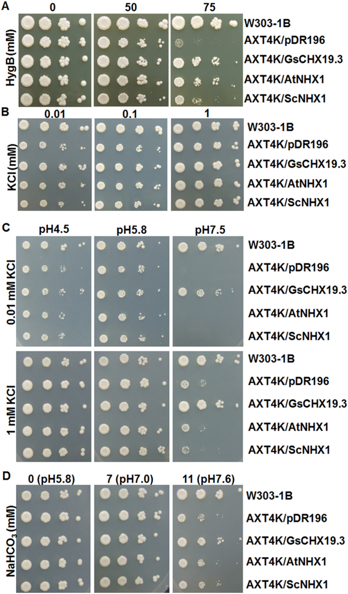 Figure 6