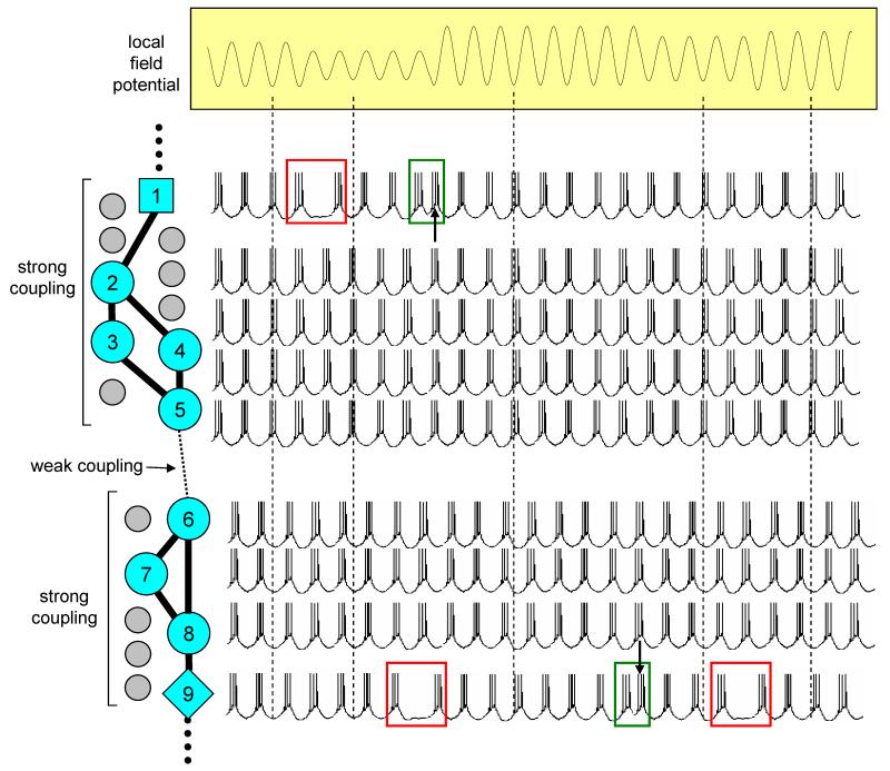 Figure 11