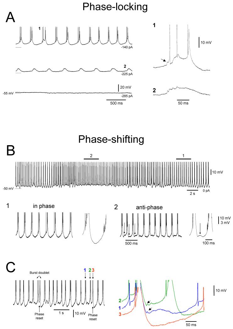 Figure 10