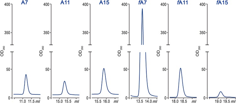 FIG 6