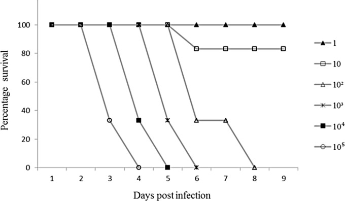 Fig 1