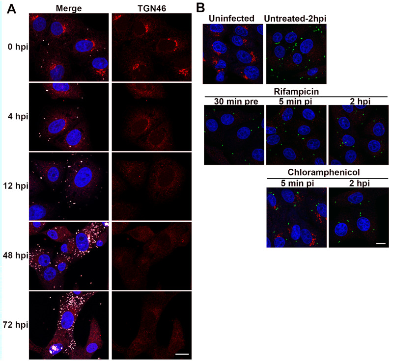 Fig 6