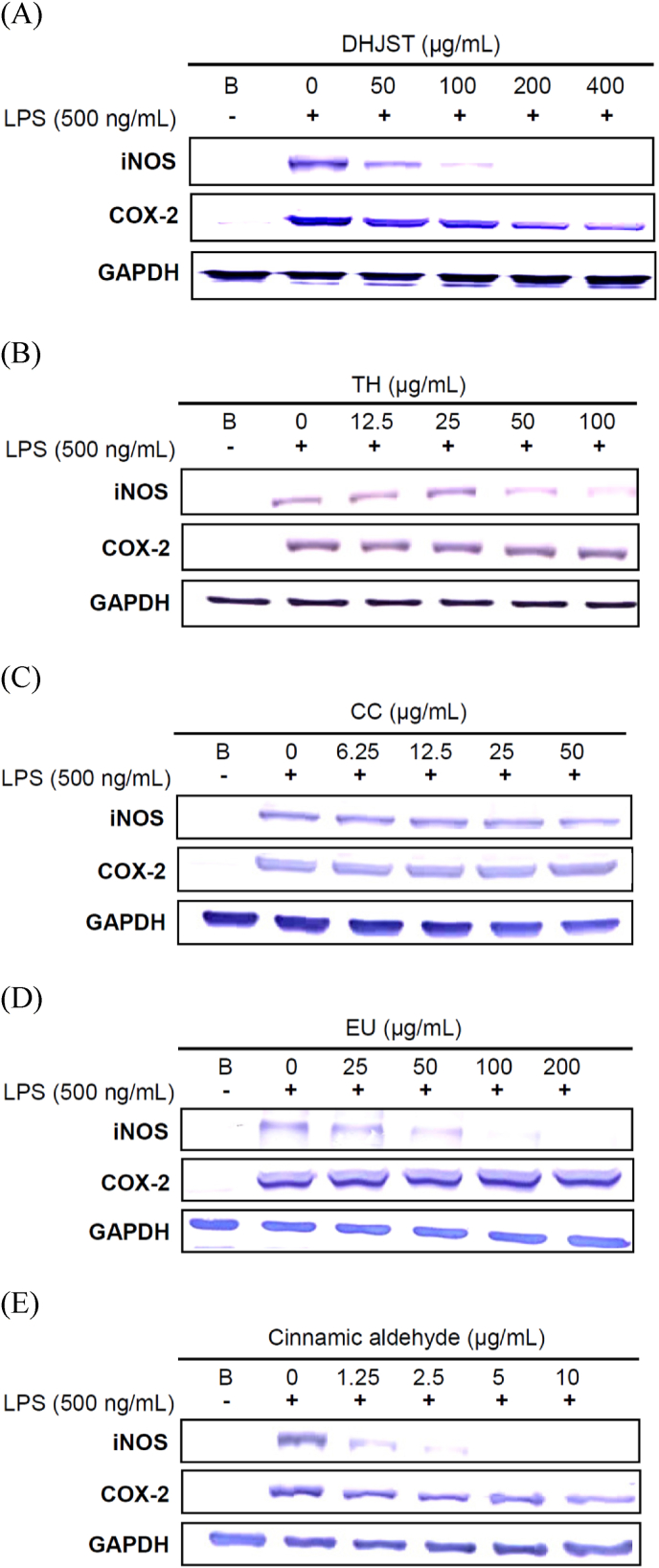 Fig. 6
