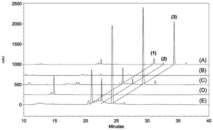 Fig. 4