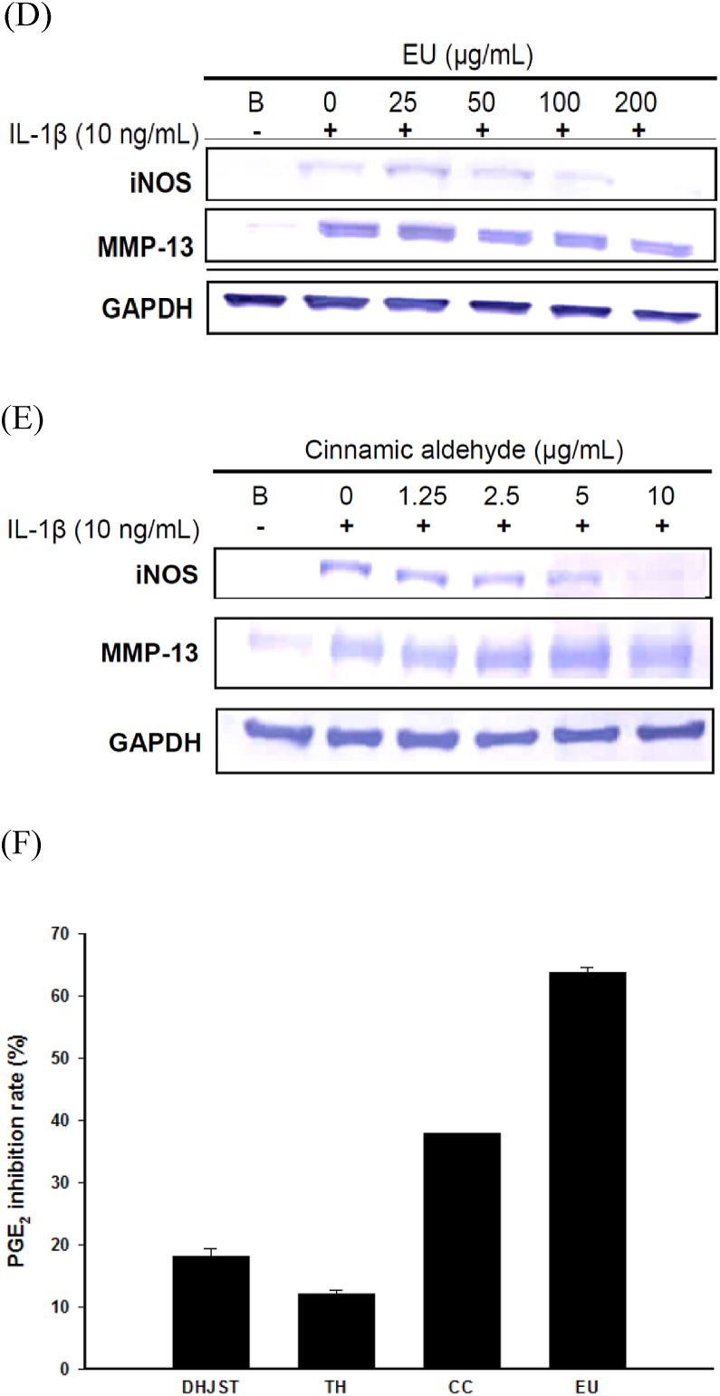 Fig. 7