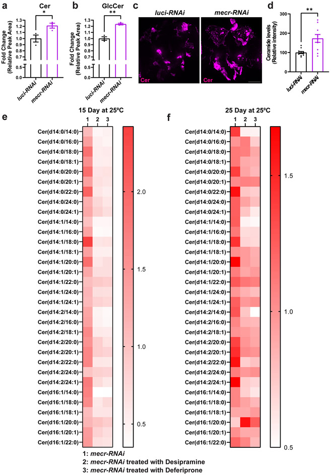 Figure 5: