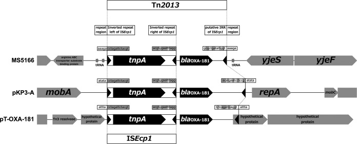 FIG 1