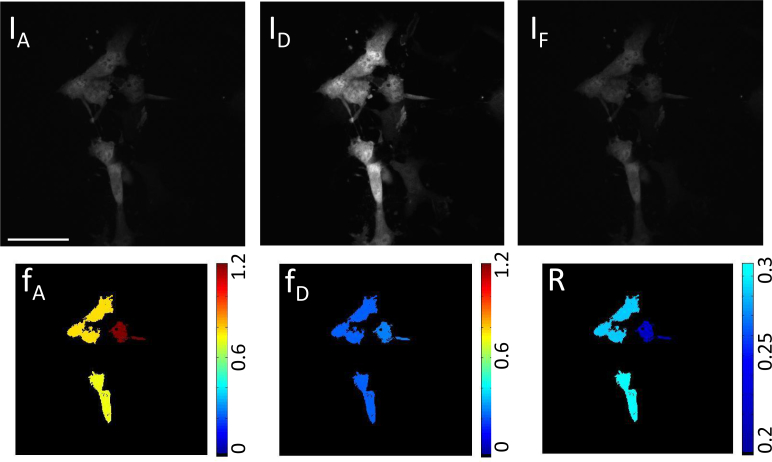 Fig. 6