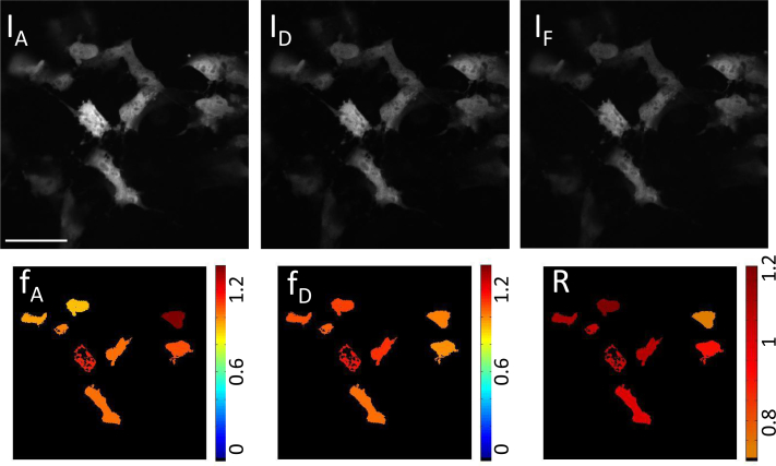 Fig. 4