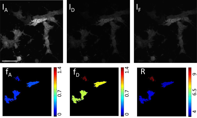 Fig. 7