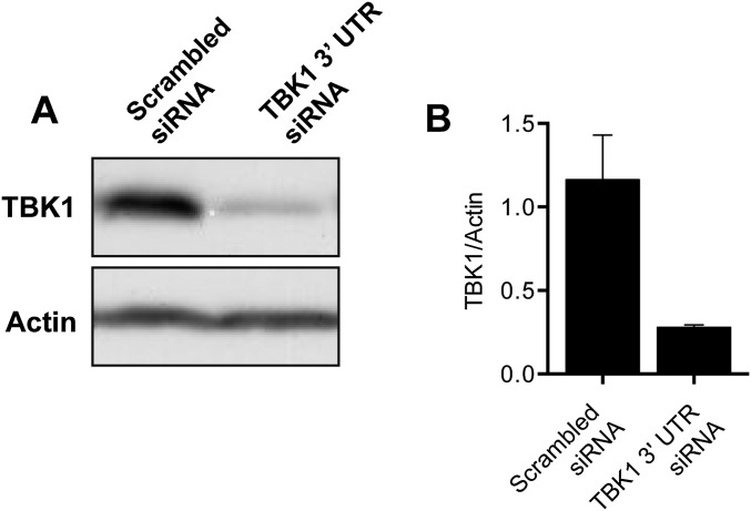 Fig. S7.