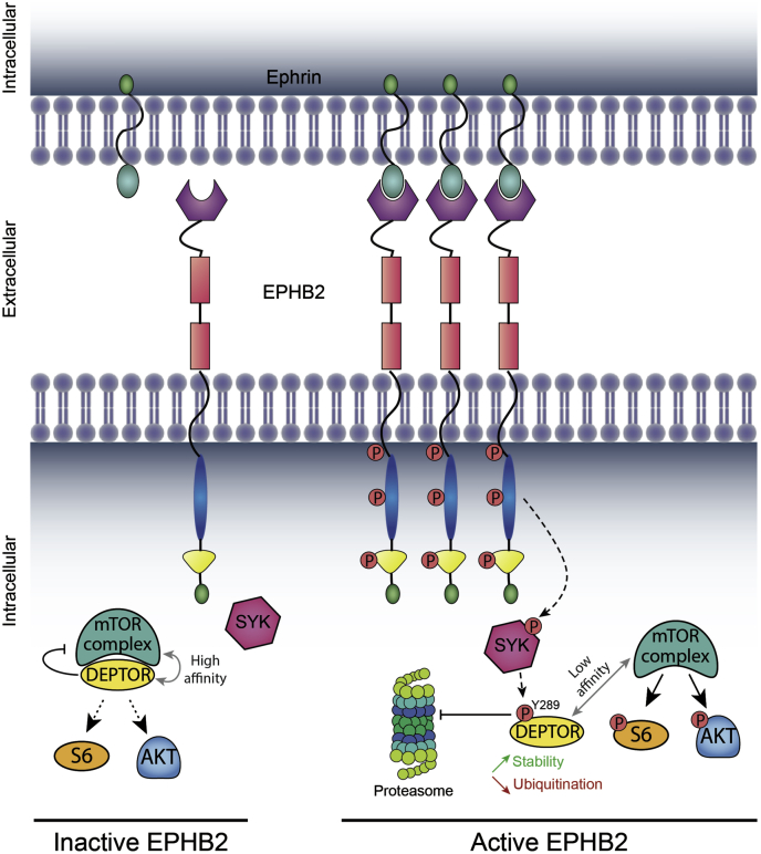 Figure 9