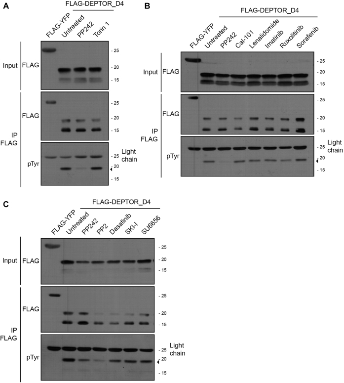 Figure 6