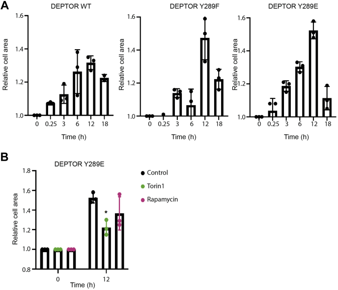 Figure 4