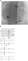 Figure 4