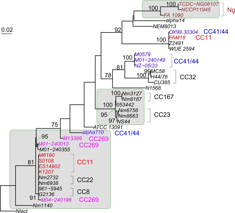 FIG. 7.—