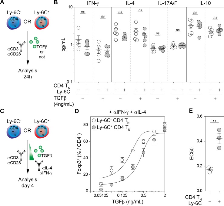 Figure 1—figure supplement 1.