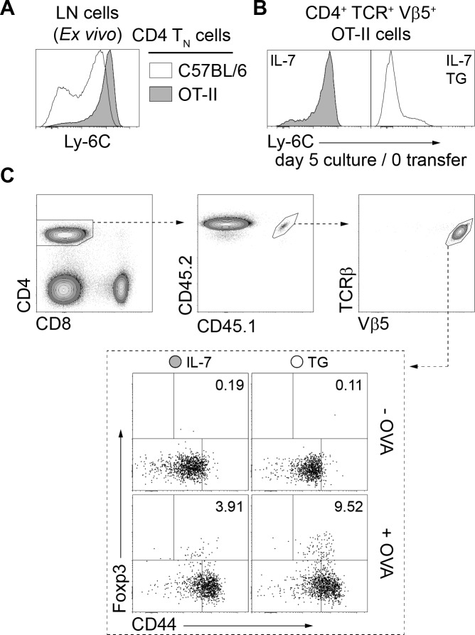 Figure 7—figure supplement 1.