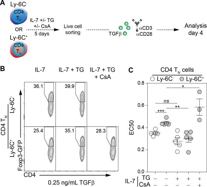 Figure 6.