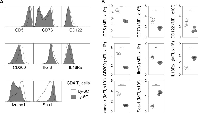 Figure 2—figure supplement 1.