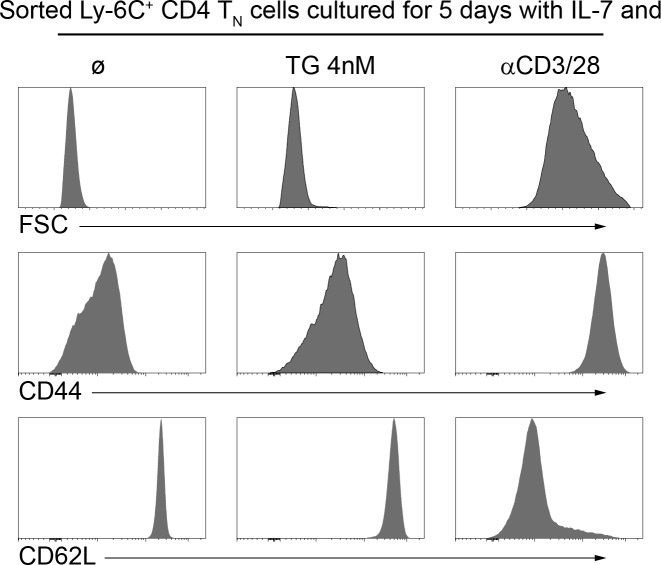 Figure 4—figure supplement 1.