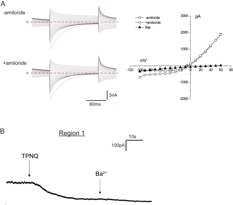 Figure 7.