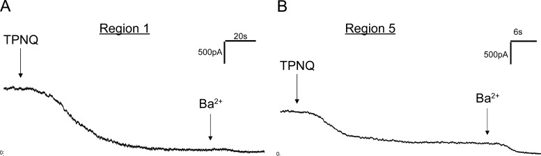 Figure 10.