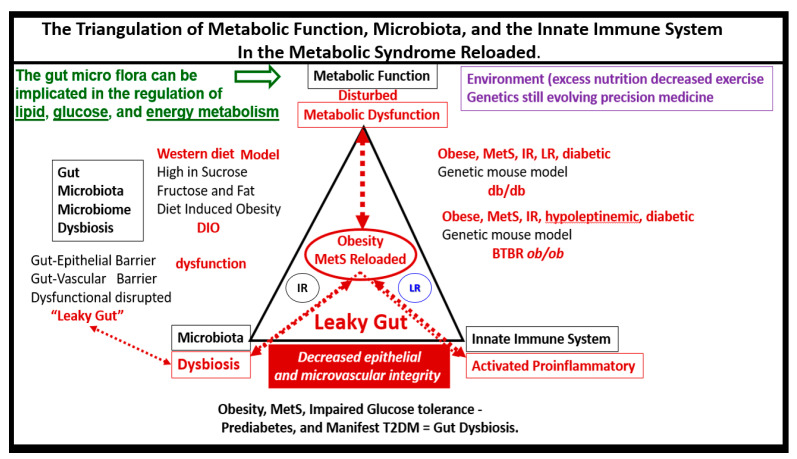 Figure 18