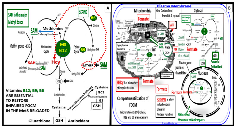 Figure 11