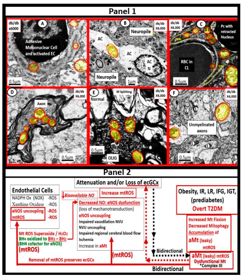 Figure 17