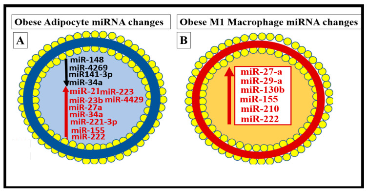 Figure 22