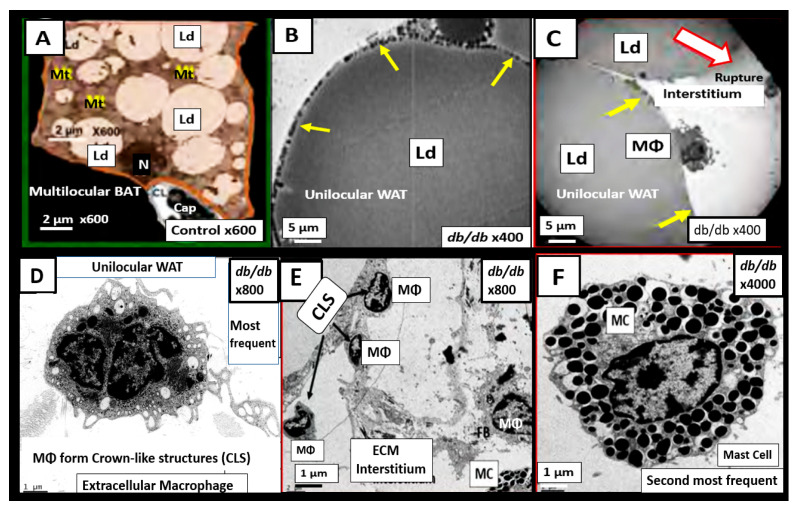 Figure 19