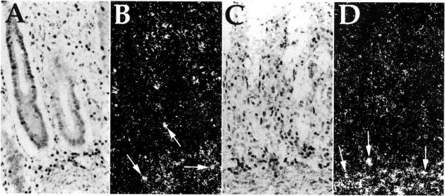 Figure 6  