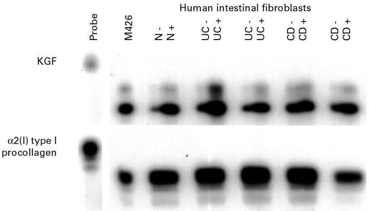 Figure 3  