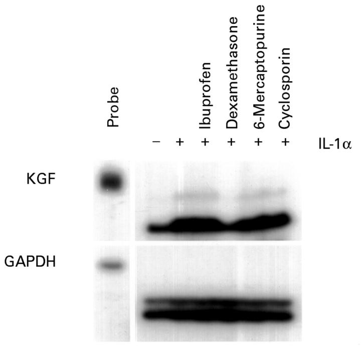 Figure 4  