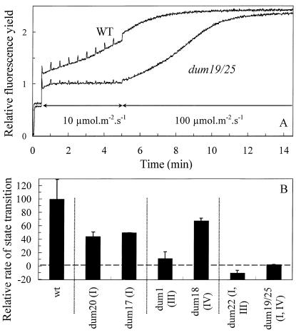 Figure 7.