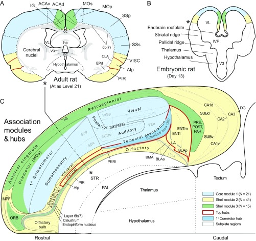 Fig. 6.