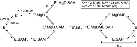 Scheme 2