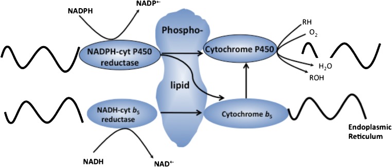 Fig. 3.