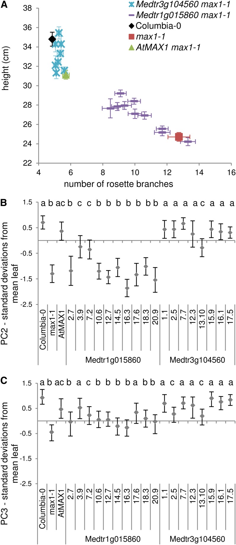 Figure 6.