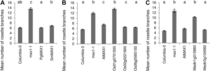 Figure 4.