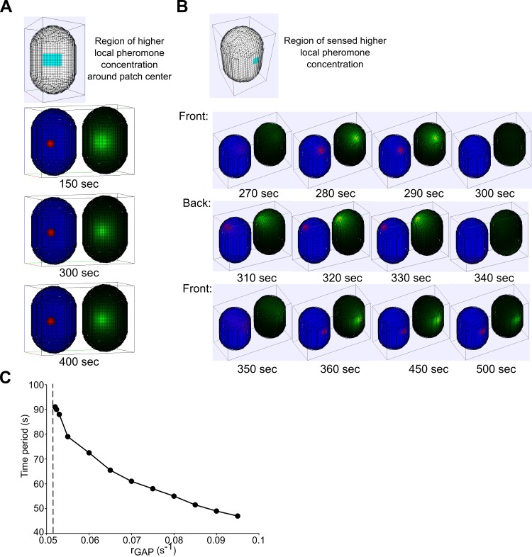 Fig 6