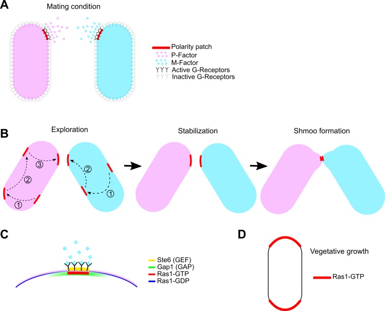 Fig 1