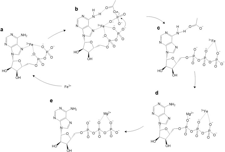 Fig 7