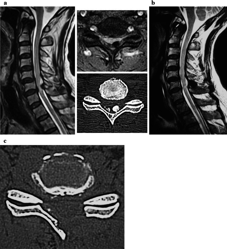 Fig. 5