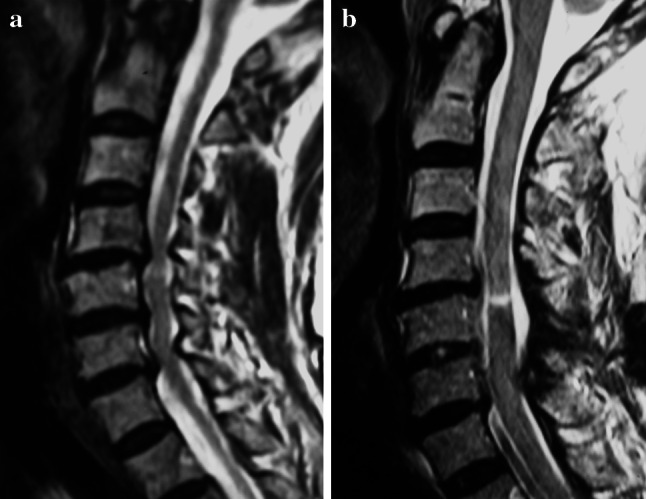 Fig. 6