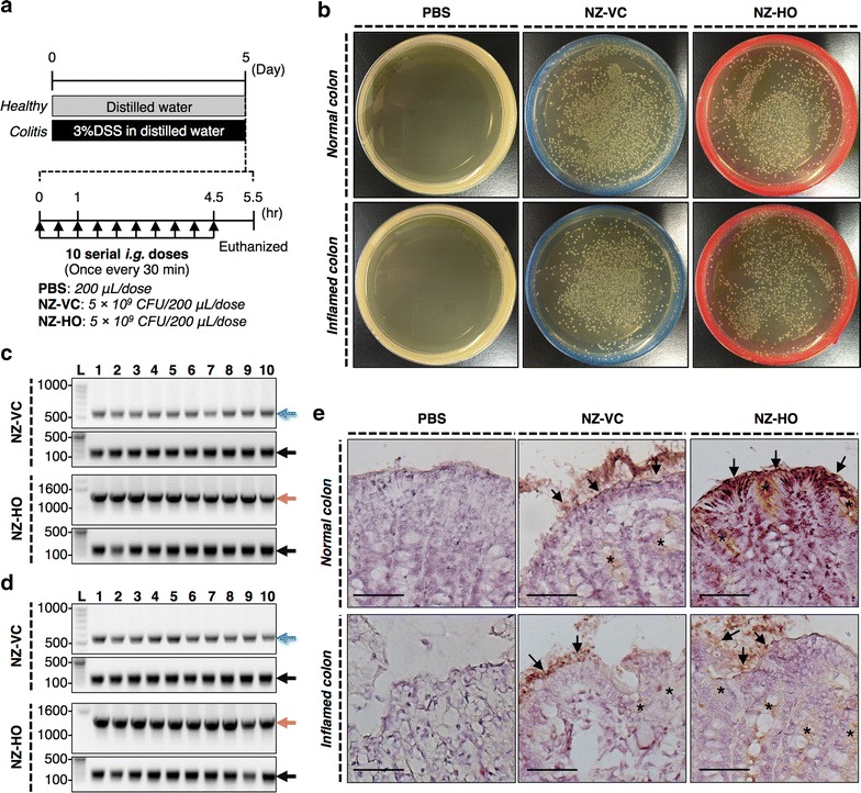 Fig. 3