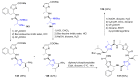Scheme 39