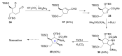 Scheme 11